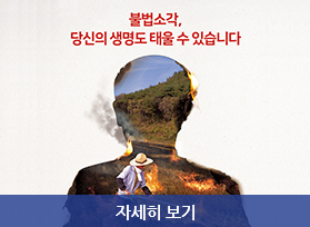 불법소각, 당신의 싱명도 태울 수 있습니다. 자세히 보기 