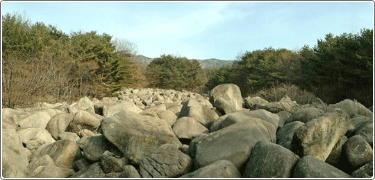 달성 비슬산 암괴류 계곡부